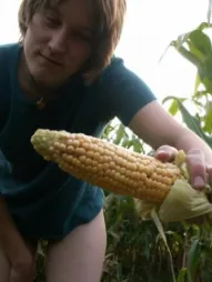 Photo of CornPorn