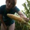 Photo of CornPorn